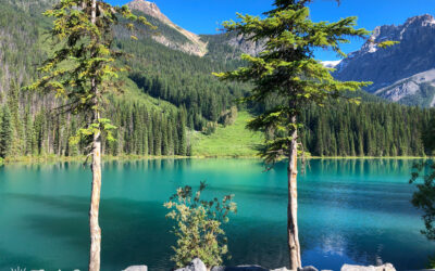 Perfect Day Trip from Calgary: Emerald Lake